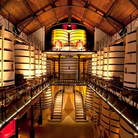 Le Rio Grande #100m Des Quais